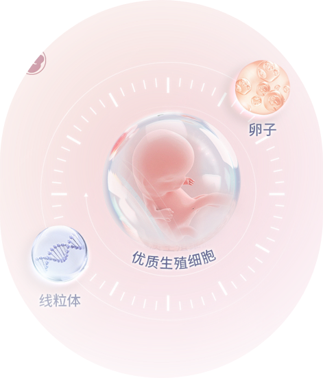 试管婴儿